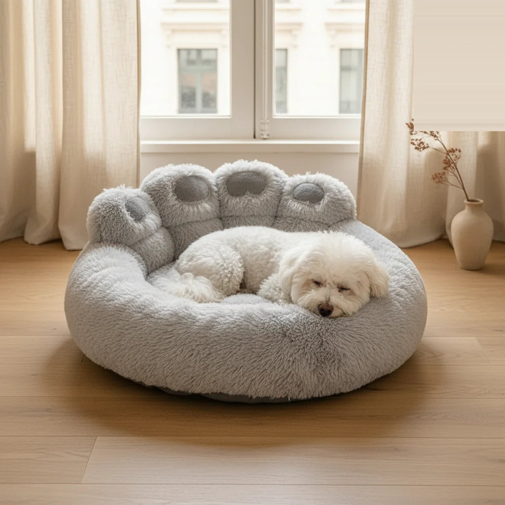 brume/01_hero_dog